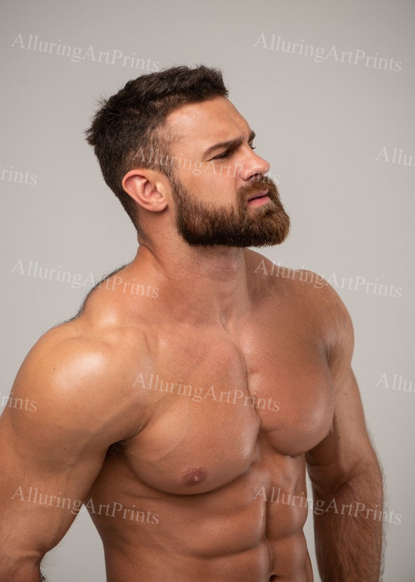 Male Model Hairy Muscular - 664B