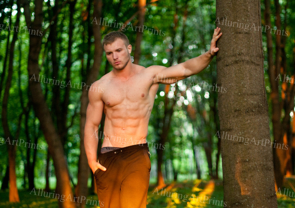 Male Model Muscular - 288C