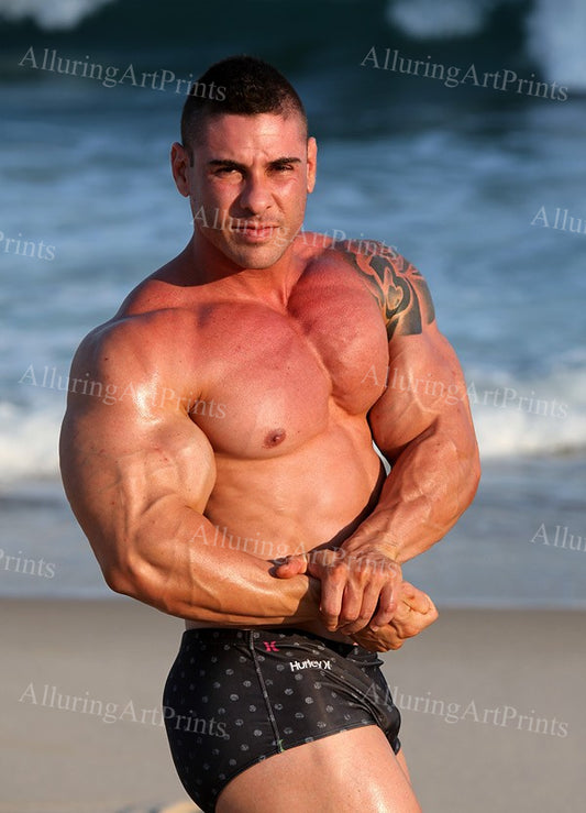 Male Model Muscular - EE44