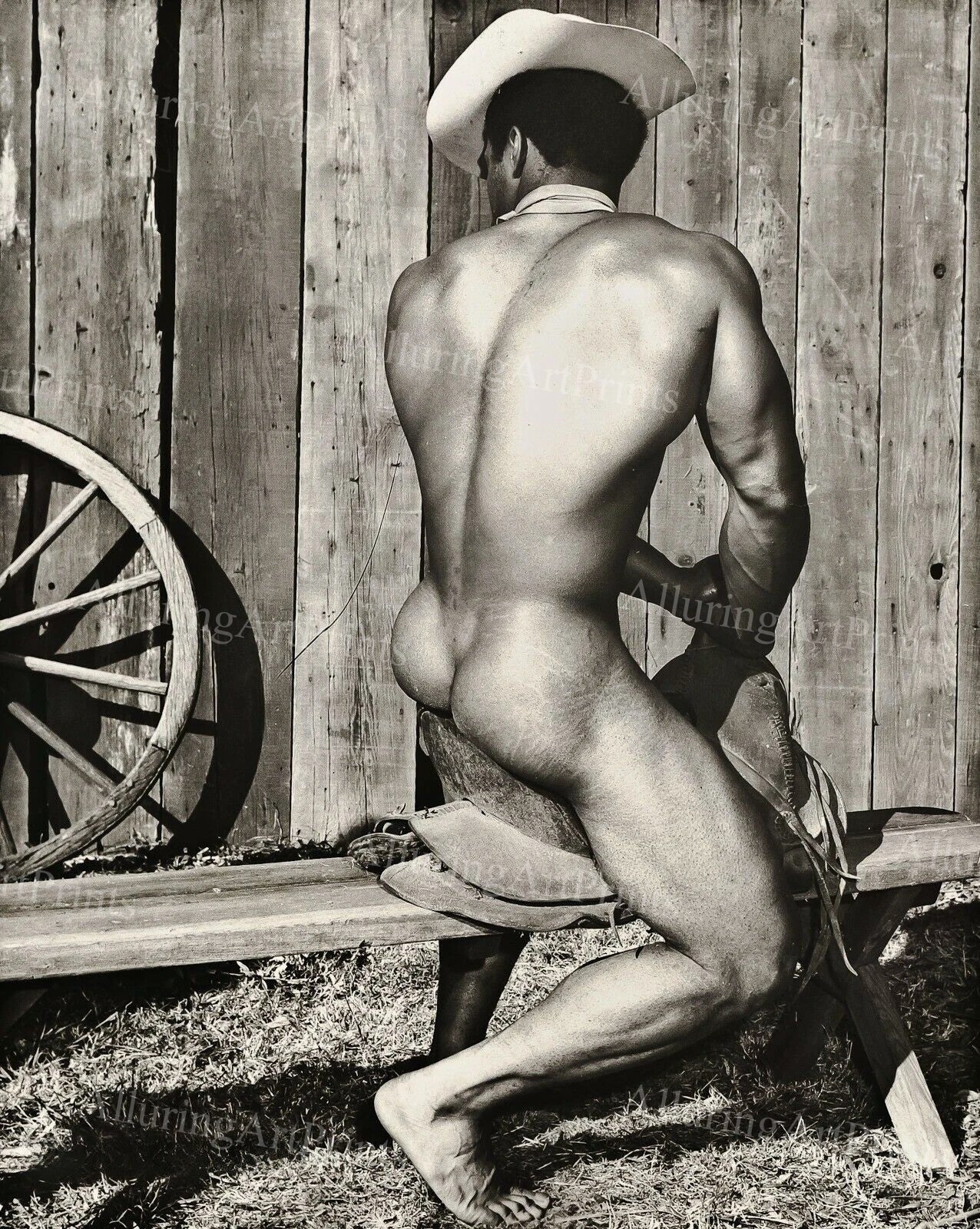 Nude Male Model Muscular Vintage - UU231