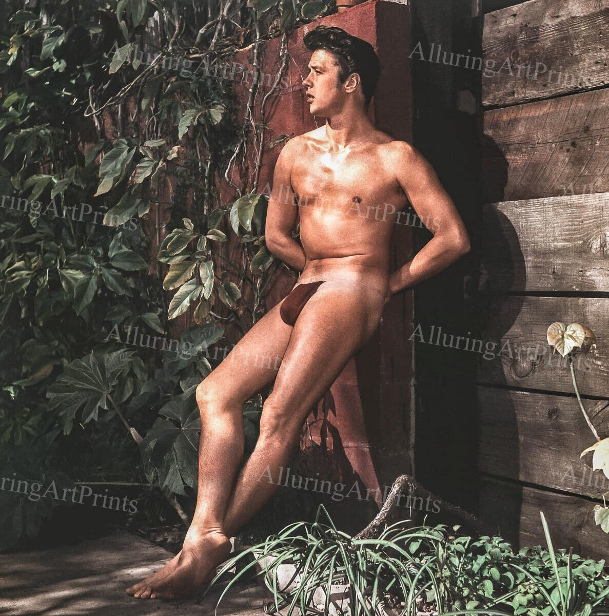 Nude Male Model Muscular Vintage - UU235