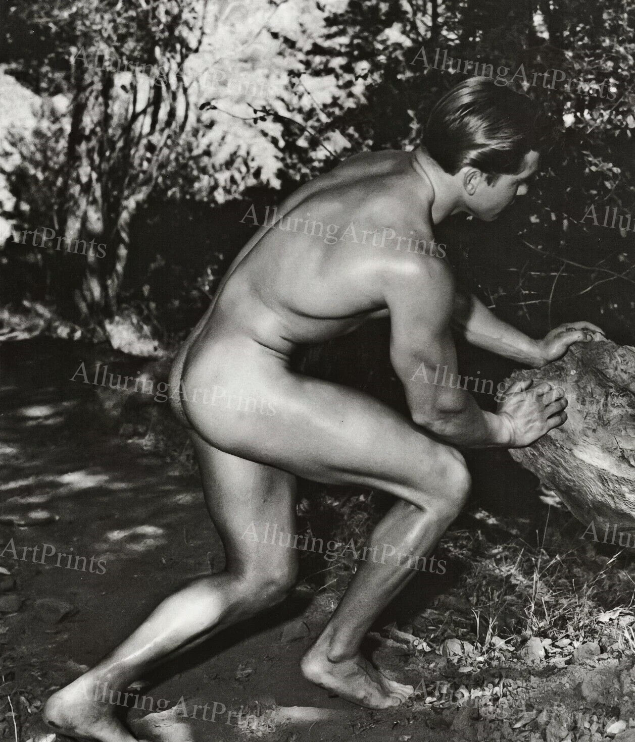 Nude Male Model Muscular Vintage - UU236