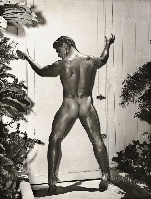 Nude Male Model Muscular Vintage - UU272