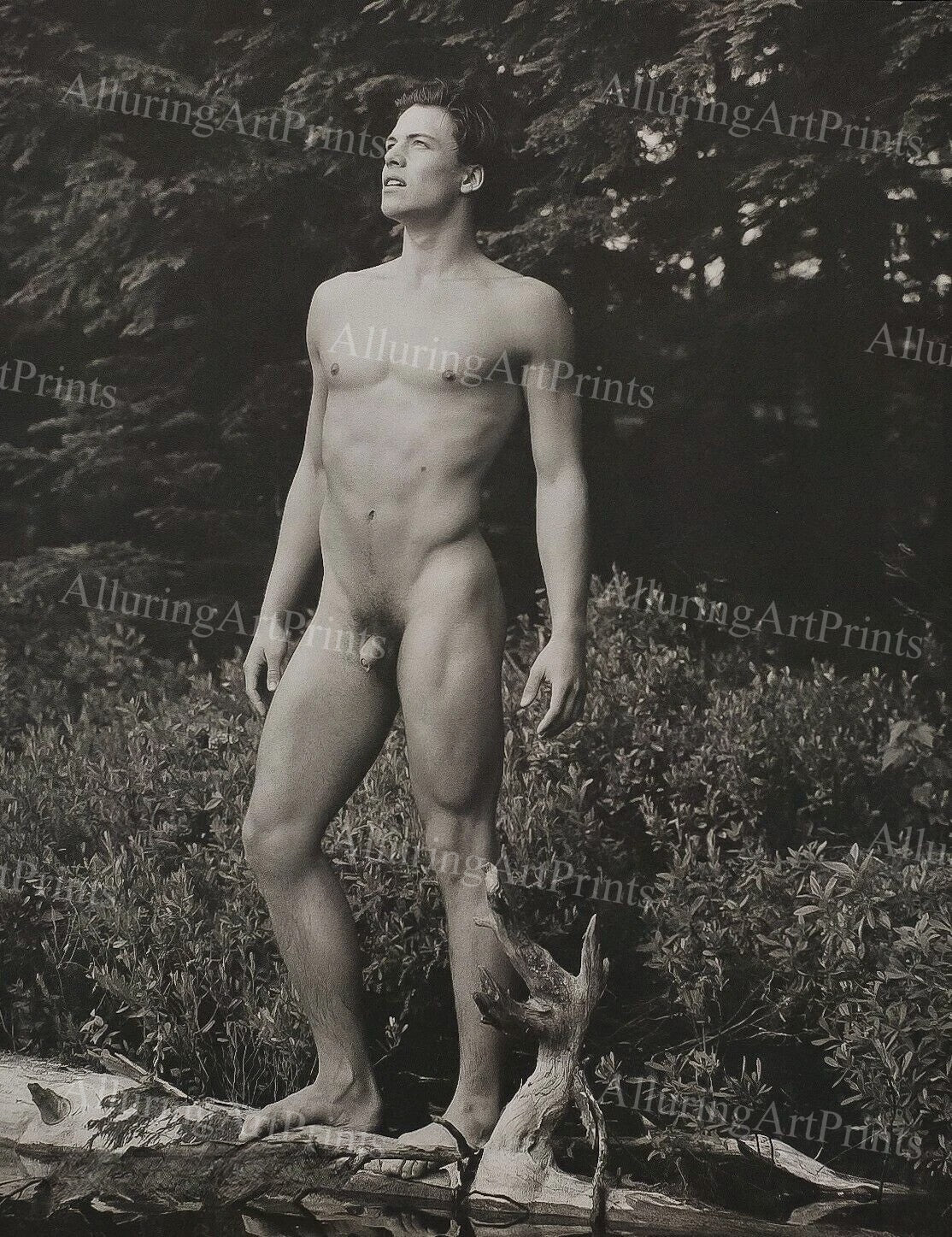 Nude Male Model Muscular Vintage - UU61