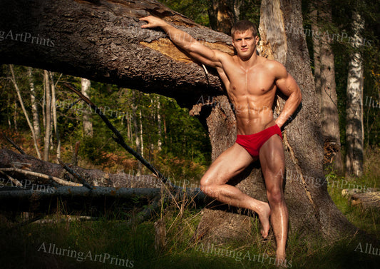 Male Model Muscular Digital Art AI Fantasy - XX321