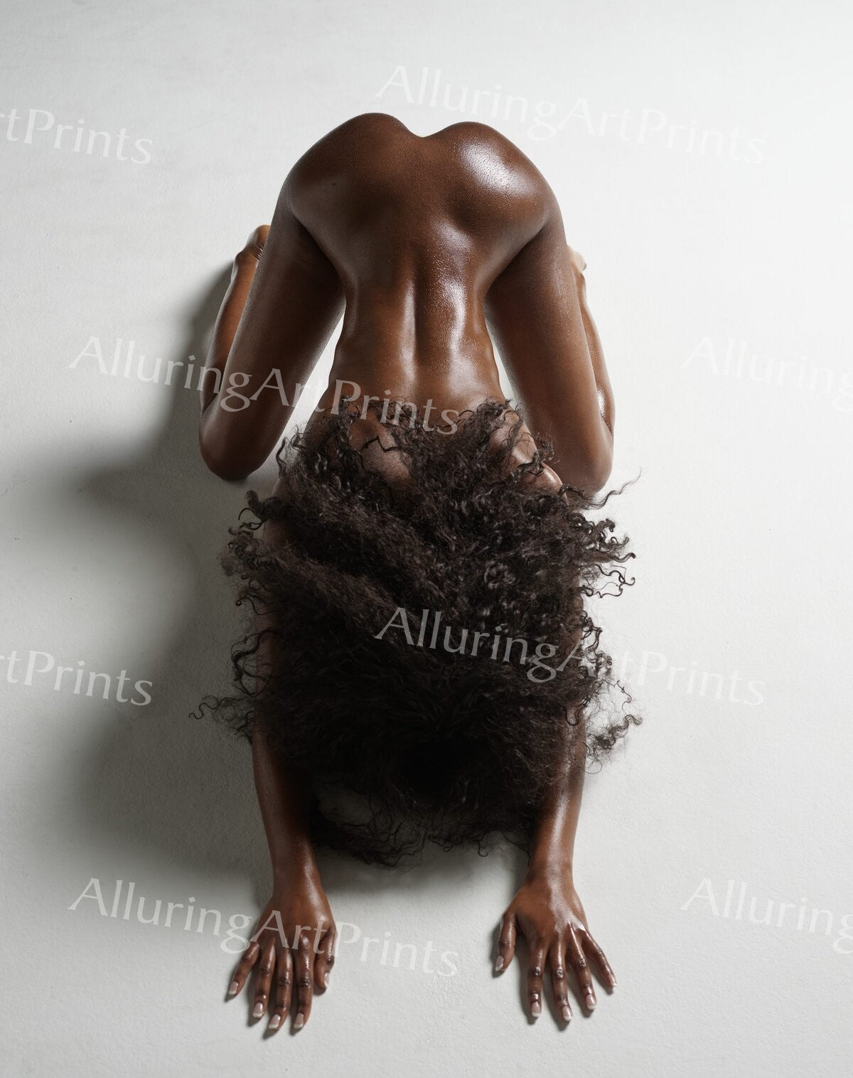 Nude Print Black Model Pretty Woman Alfro Petite Studio Portrait Exotic Big Butt Boobs Hot H36