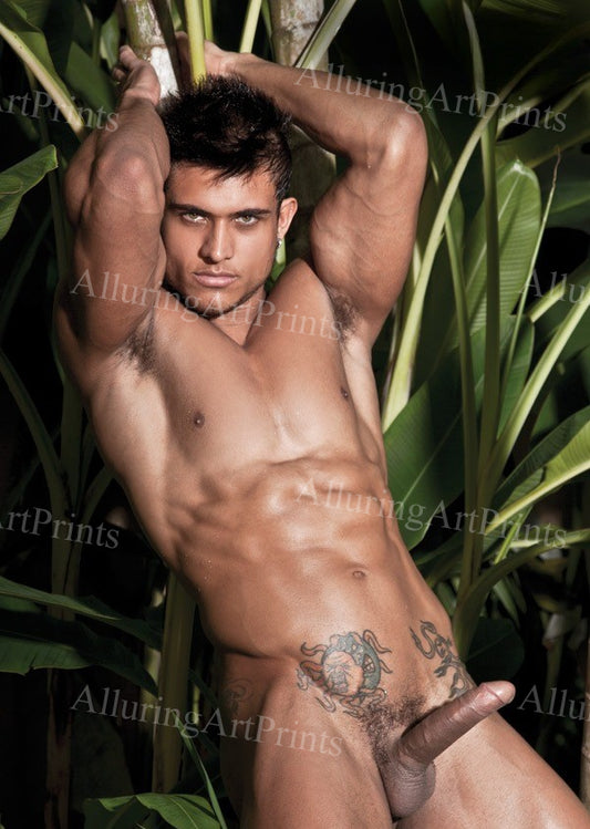 Diego Lauzen Male Model Muscular - M411