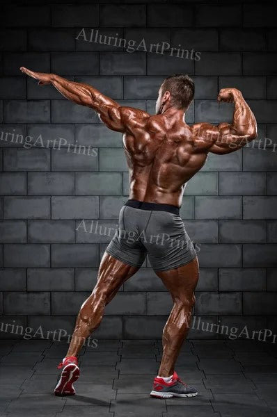 Male Model Muscular - S345