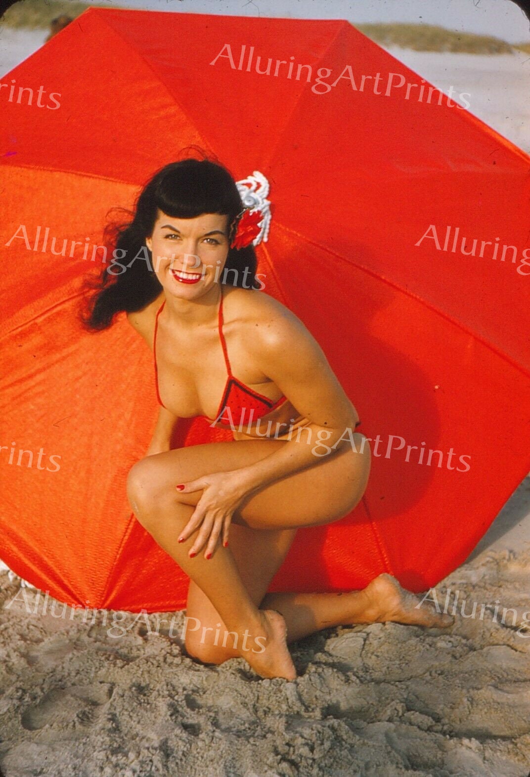 Risque Betty Page Brunette Model Vintage - B170